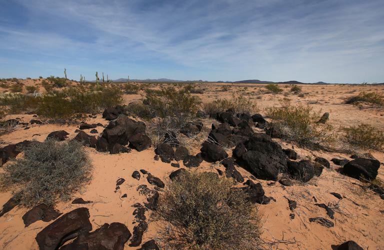 Cabeza Prieta National Wildlife Refuge