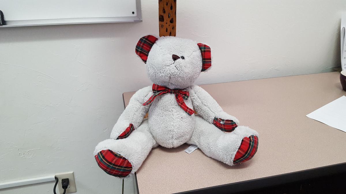 your teddy bear
