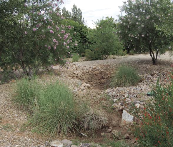 Rainwater harvesting passive system