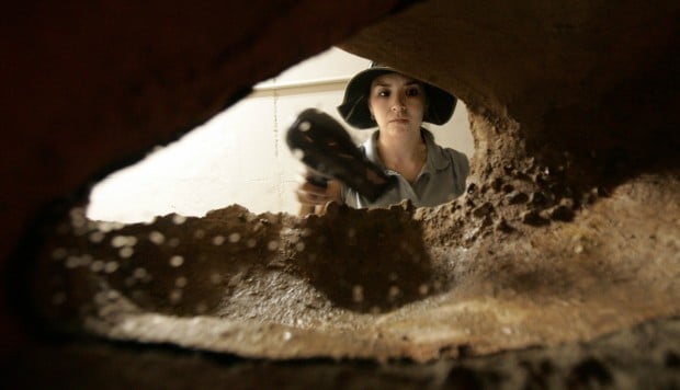 The Arizona-Sonora Desert Museum at 60 years old