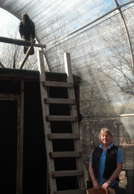 Group offers a 2nd chance to animals that are hurt, orphaned