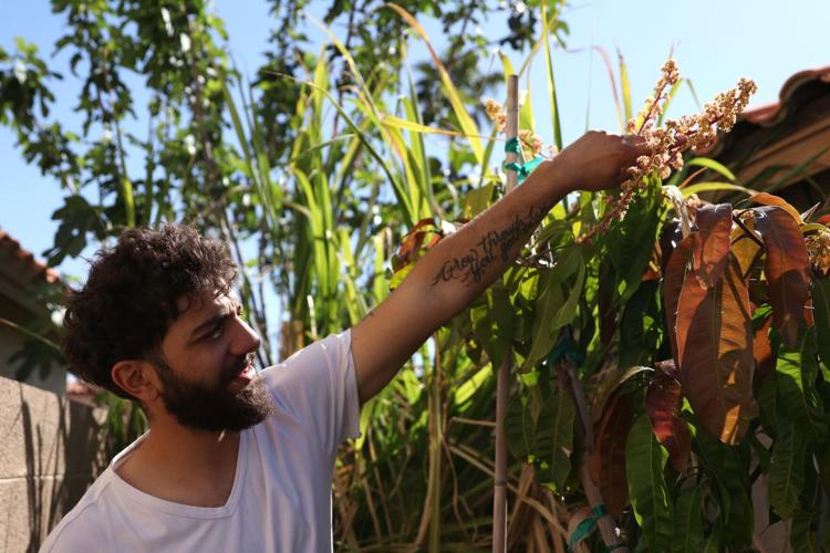 Permaculture landscape designer grows produce in the desert