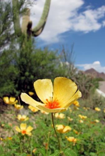 A spring revival    