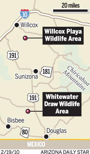 Where to see the cranes