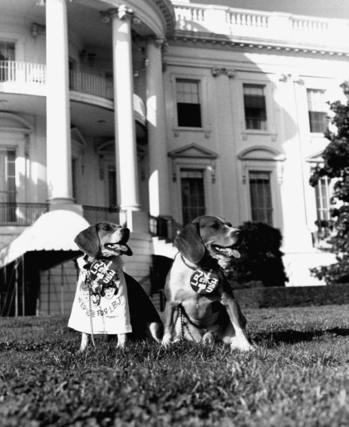 Photos White House pets National News
