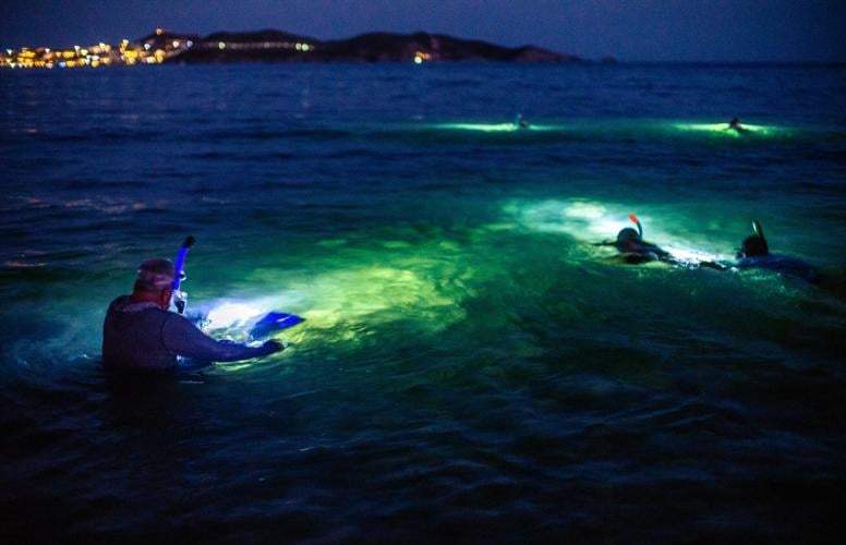 Night diving, San Carlos, Mex.