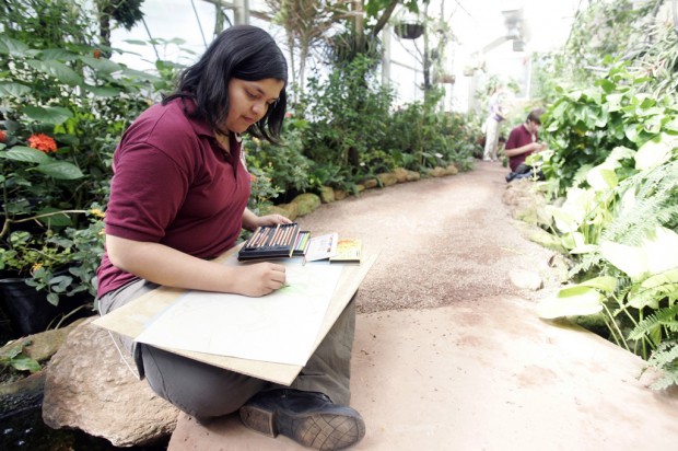 Last chance to see Butterfly Magic   