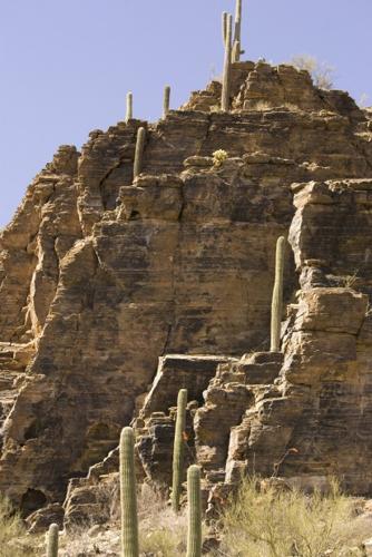 Sabino's a gneiss Canyon   