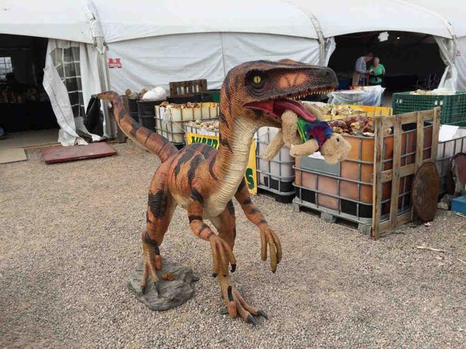 Animals of the Gem Show