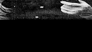Priest Historian Mccarty Dies At 83 Home Life Health Tucson Com