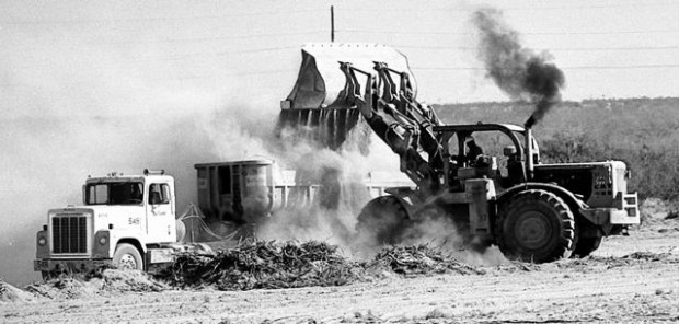Tucson Time Capsule: Bulldozers broke ground at IBM site in 1977  