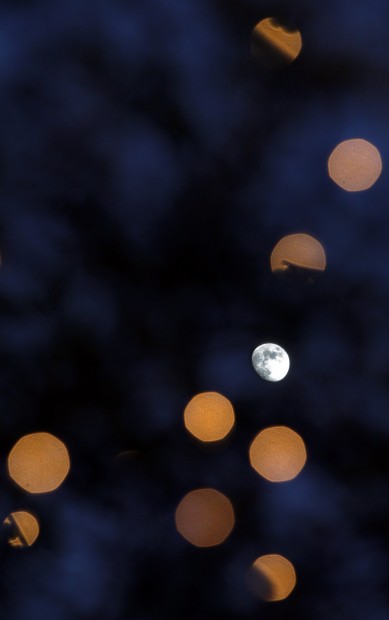 Holiday Nights at Tohono Chul Park