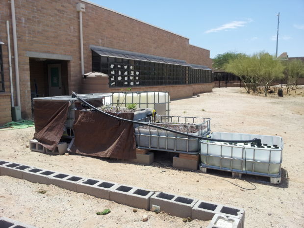 Aquaponics