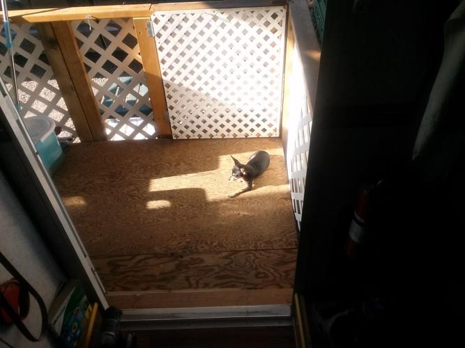 Happy National Dog Day!