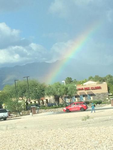 Tucson rainbows