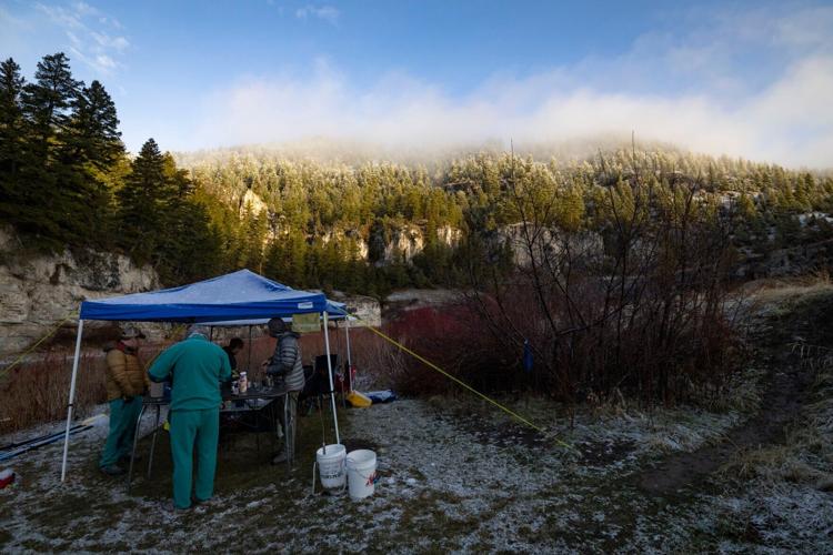 Montana Vet Program