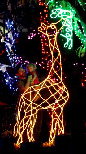 Zoo Lights (LE)