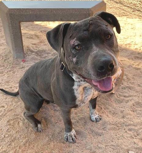 Adopt a friend: Xenia