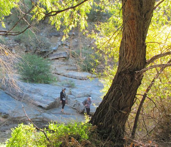 Hikers in Sabino Canyon