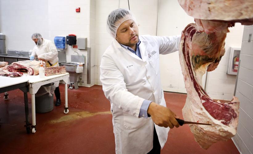 University of Arizona Food Product and Safety Lab