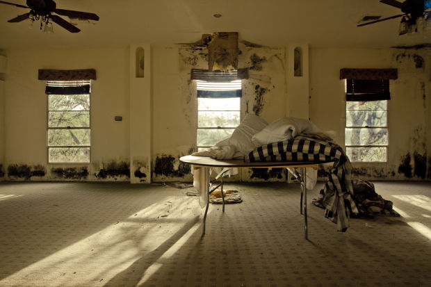 111713-hl-rexranch-p11