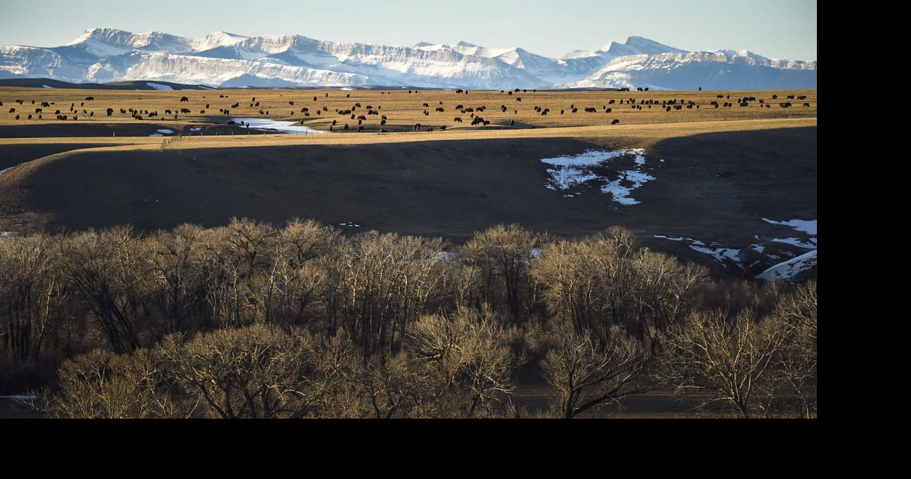 Blackfeet doctor accuses clinic of harming patients with tens of thousands of pain pills