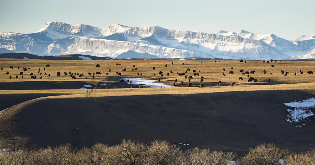 Blackfeet doctor accuses clinic of harming patients with tens of thousands of pain pills