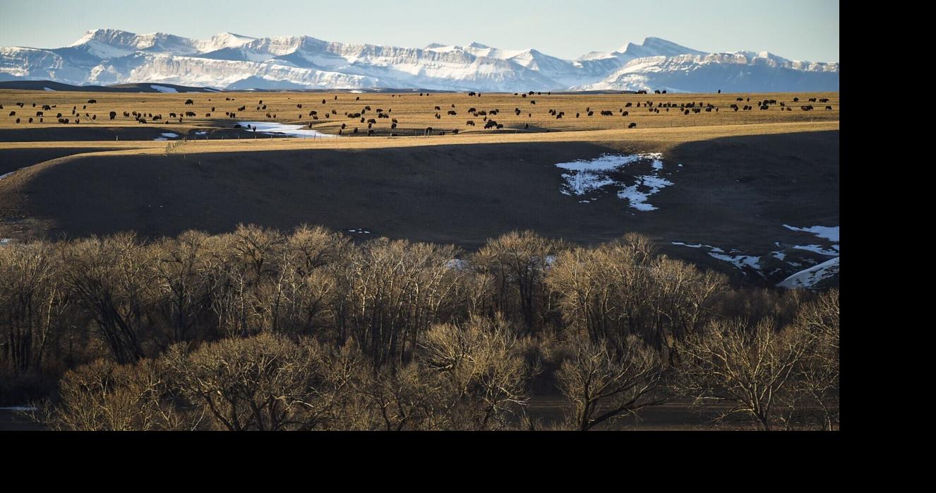 Blackfeet doctor accuses clinic of harming patients with tens of thousands of pain pills