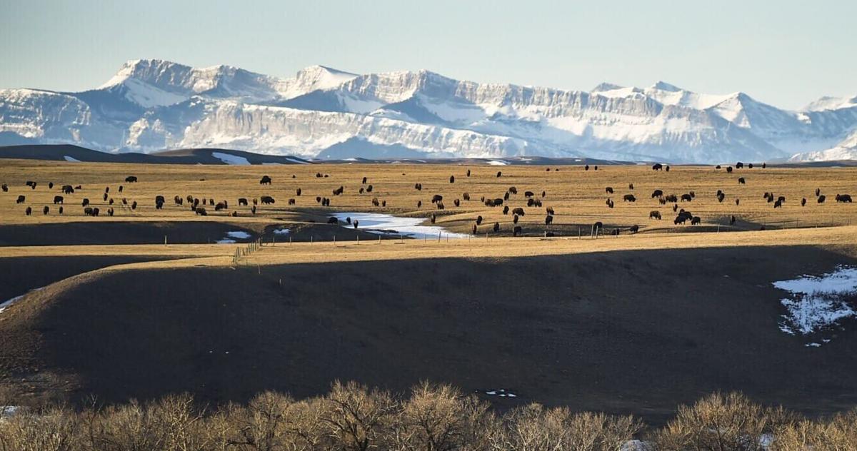 Blackfeet doctor accuses clinic of harming patients with tens of thousands of pain pills