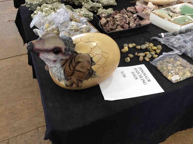 Animals of the Gem Show