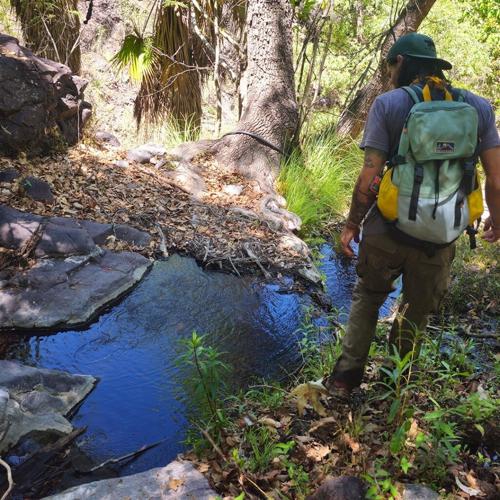 A New Stage for Spring Monitoring in APFF Bavispe