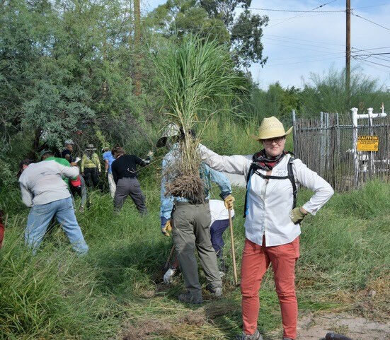Rotary Club of Tucson Verde