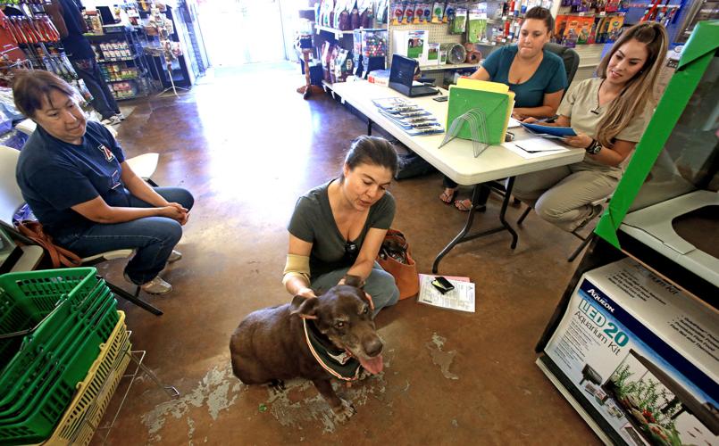 Animal Fair shot clinic