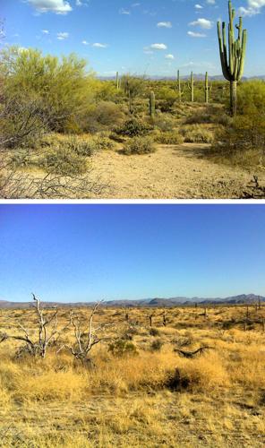 Beeline Highway fire