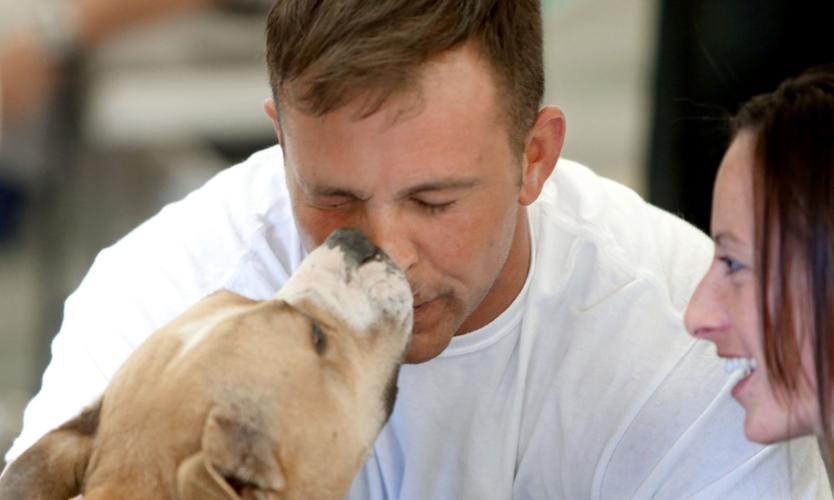 Adopt Love/Adopt Local