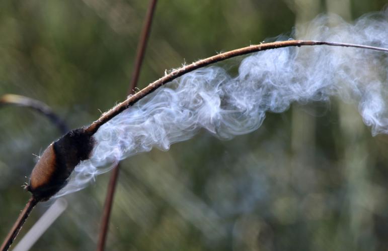 Sweetwater Wetlands Control Burn