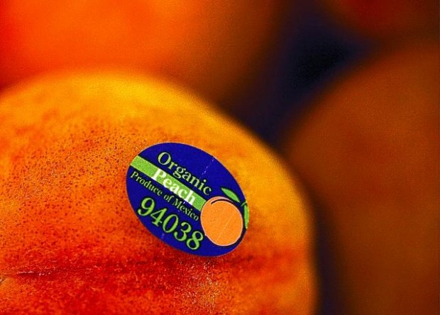 How do I talk in trendy food terms?  