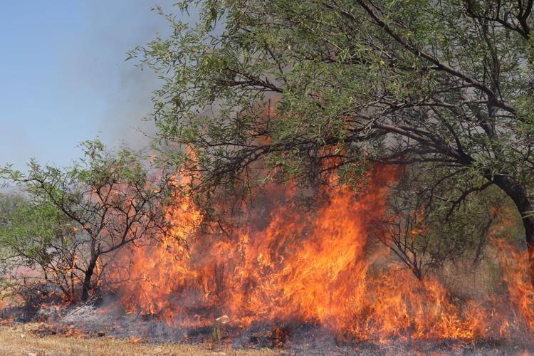 Brush fire in Amado