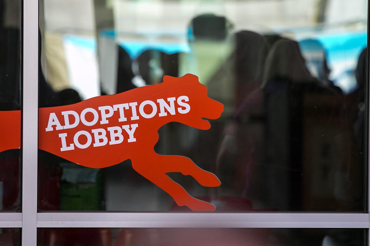 Photos See Pima Animal Care Center's new digs in Tucson Local news