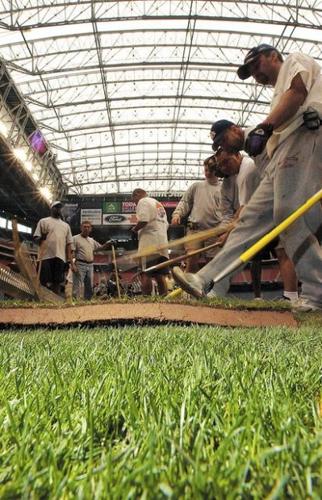 Warmth, wind mean misery as allergy season starts early  