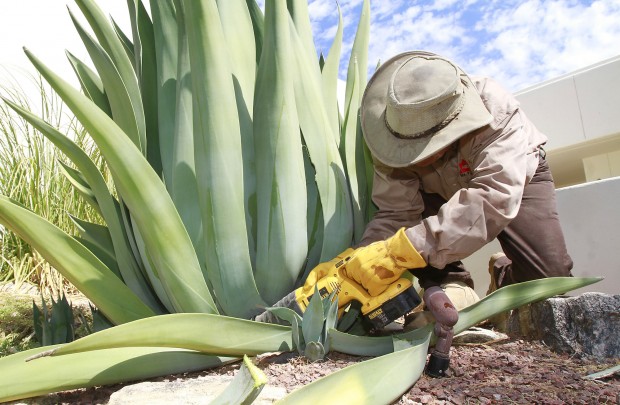 Get rid of pests without deadly force   