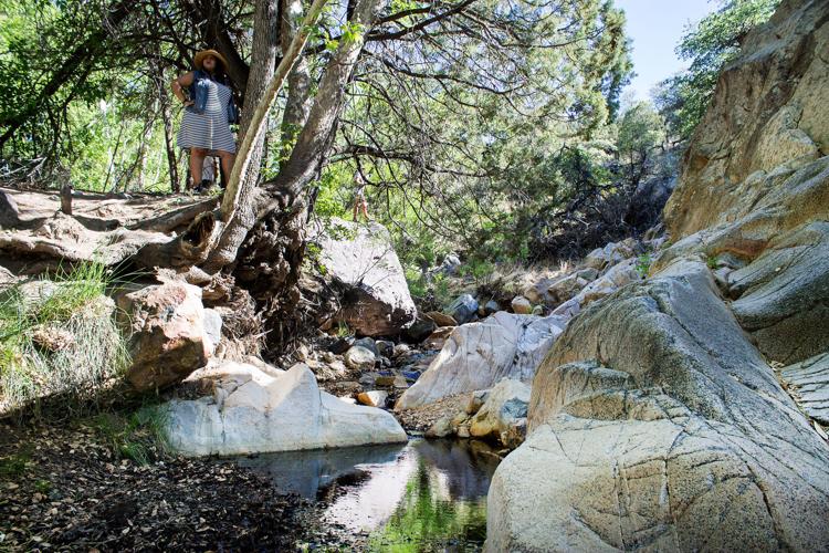 Madera Canyon creek