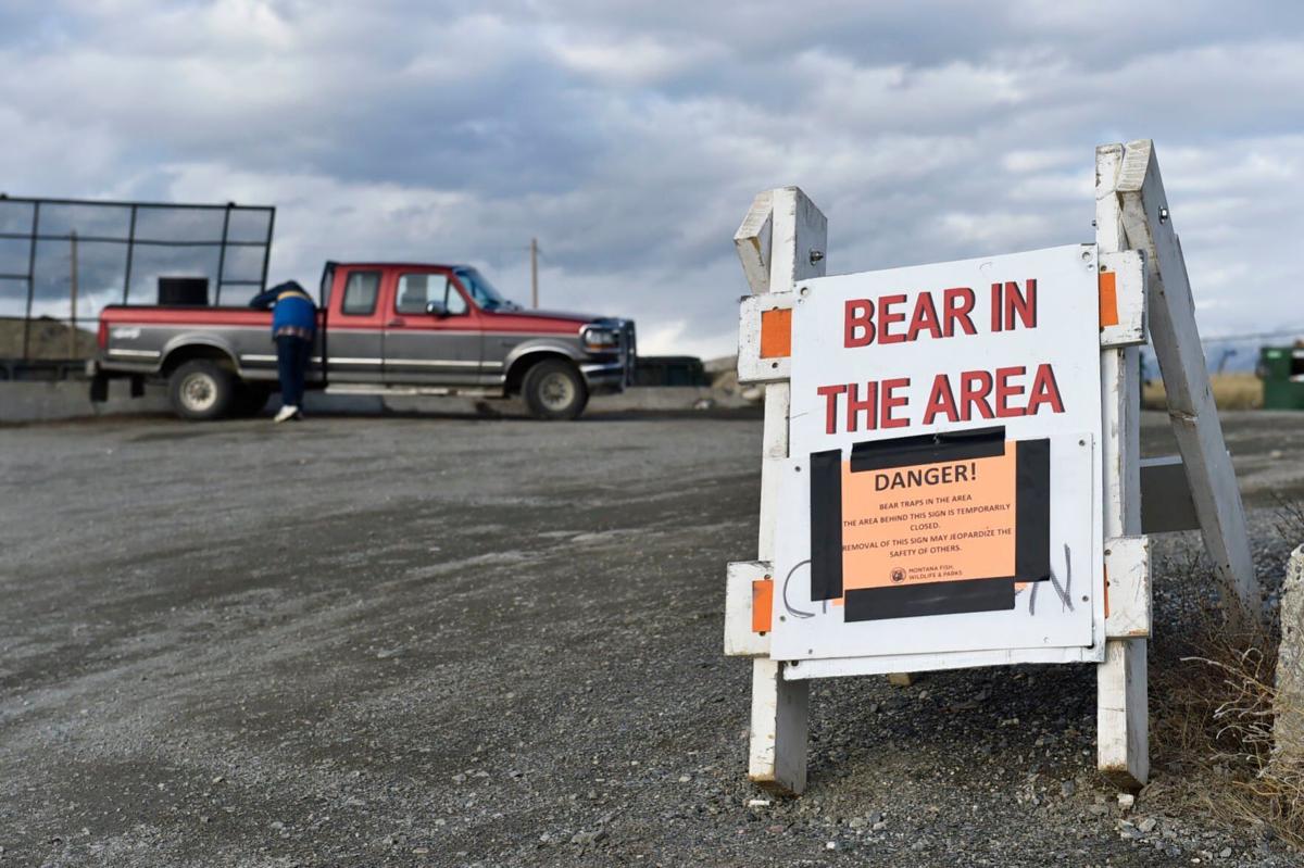 A bear, a bicycle and the challenges associated with backcountry recreation
