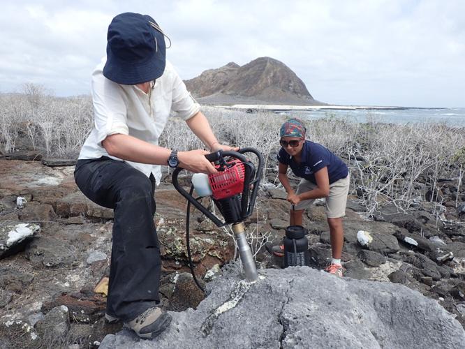 Coral research with Tucson ties shows El Niño growing stronger as planet warms