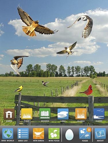 Game for fledgling ornithologists: 'My Bird World'   