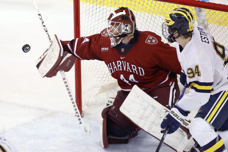Trump Harvard Sports