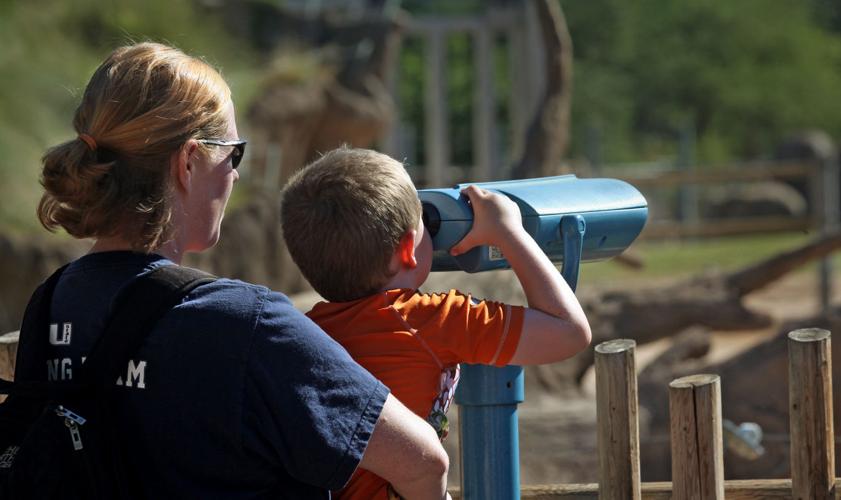 New Reid Park baby elephant