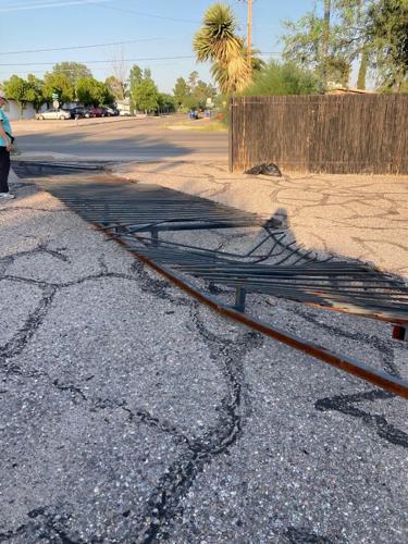 Yume Japanese Gardens 3.jpg