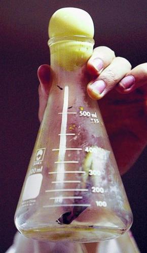 Mad Science entertains as kids learn  