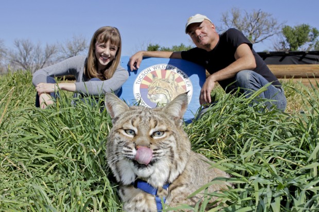 Animal-rehab center's quiet work put on film    